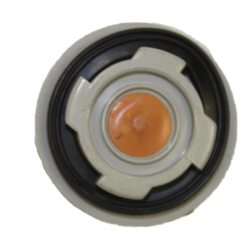 CAP,TWIST LOCK SOLUTION TANK,HOOVER F7452 N/S