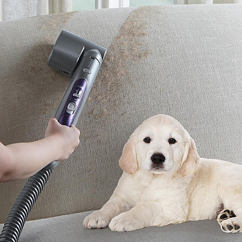 Kenmore Elite 600 Series Friendly Lightweight Bagged Canister Vacuum with Pet PowerMate (Certified Refurbished)
