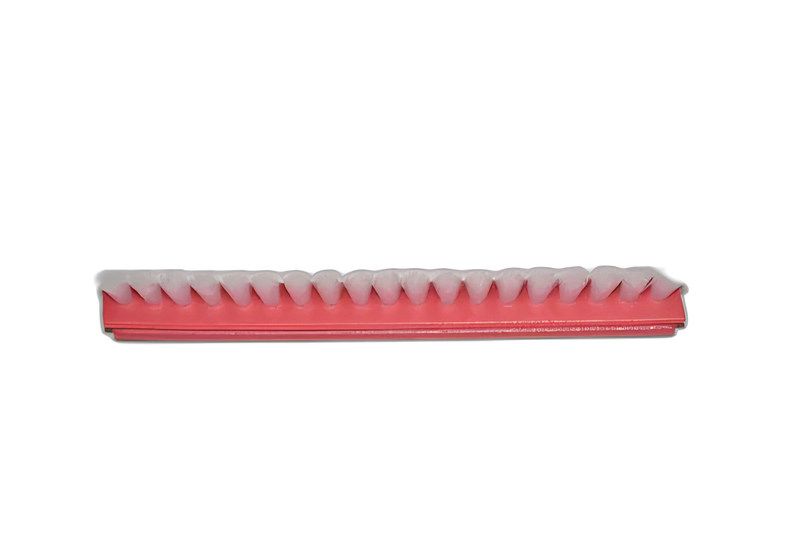 Simplicity/Riccar R25 Vacuum Cleaner Brushroll Brush Strips, 5 Inches #B601-8000