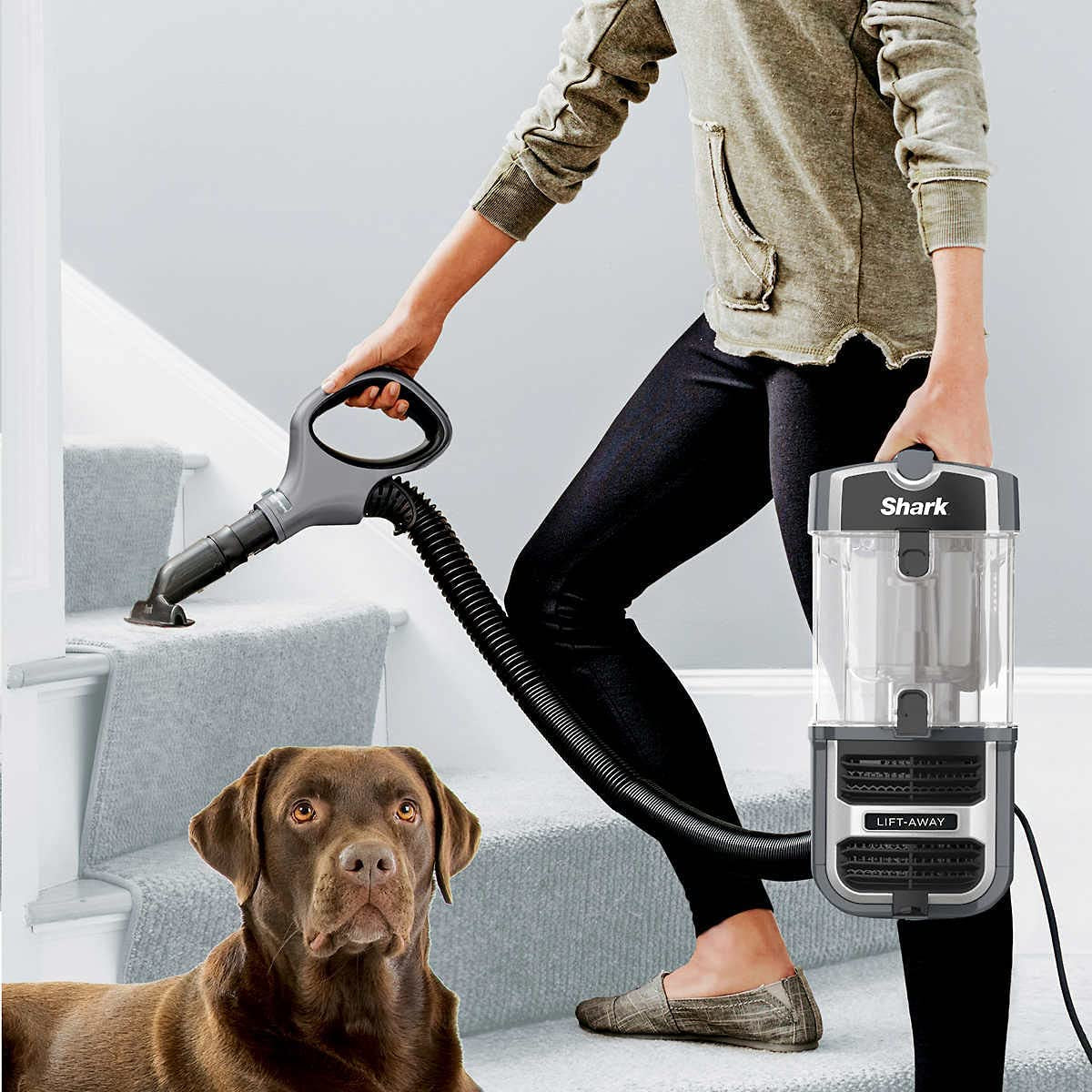 Shark UV725 Navigator Lift-Away with Self Cleaning Brushroll Upright Vacuum with HEPA Filter, Gray (Renewed)