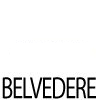 Belvedere Vacuum Belts