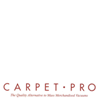 CarpetPro Vacuum Belts