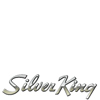 Silver King Vacuum Filters
