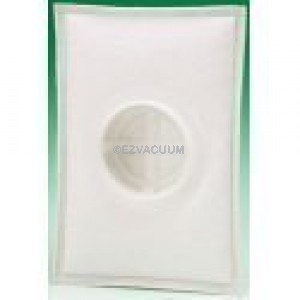 Electrolux AP100 Canister Filters - 2 Pack