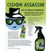 Odor Assassin Air & Fabric Odor Eliminator Spring Rain Scent